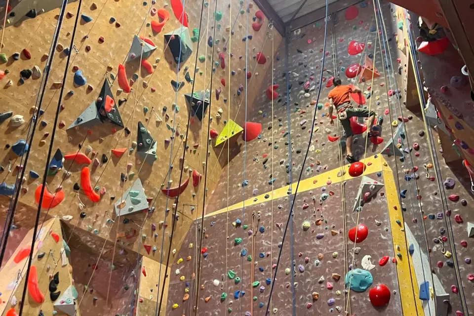 Climber high on the roped walls, with fixed ropes and quickdraws hanging down the routes