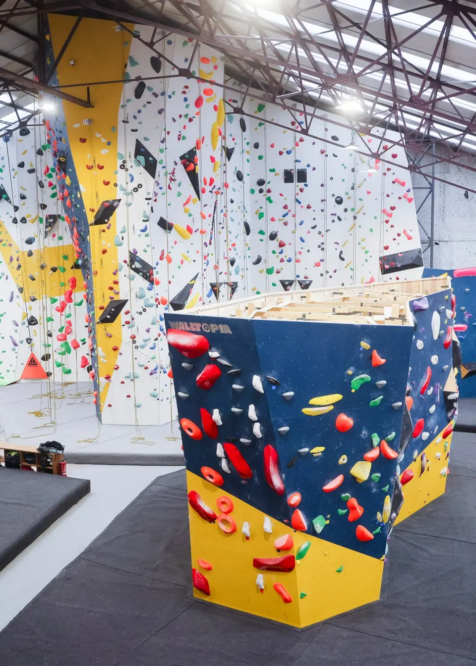 Blue and yellow boulder in front of the white rope walls with top ropes