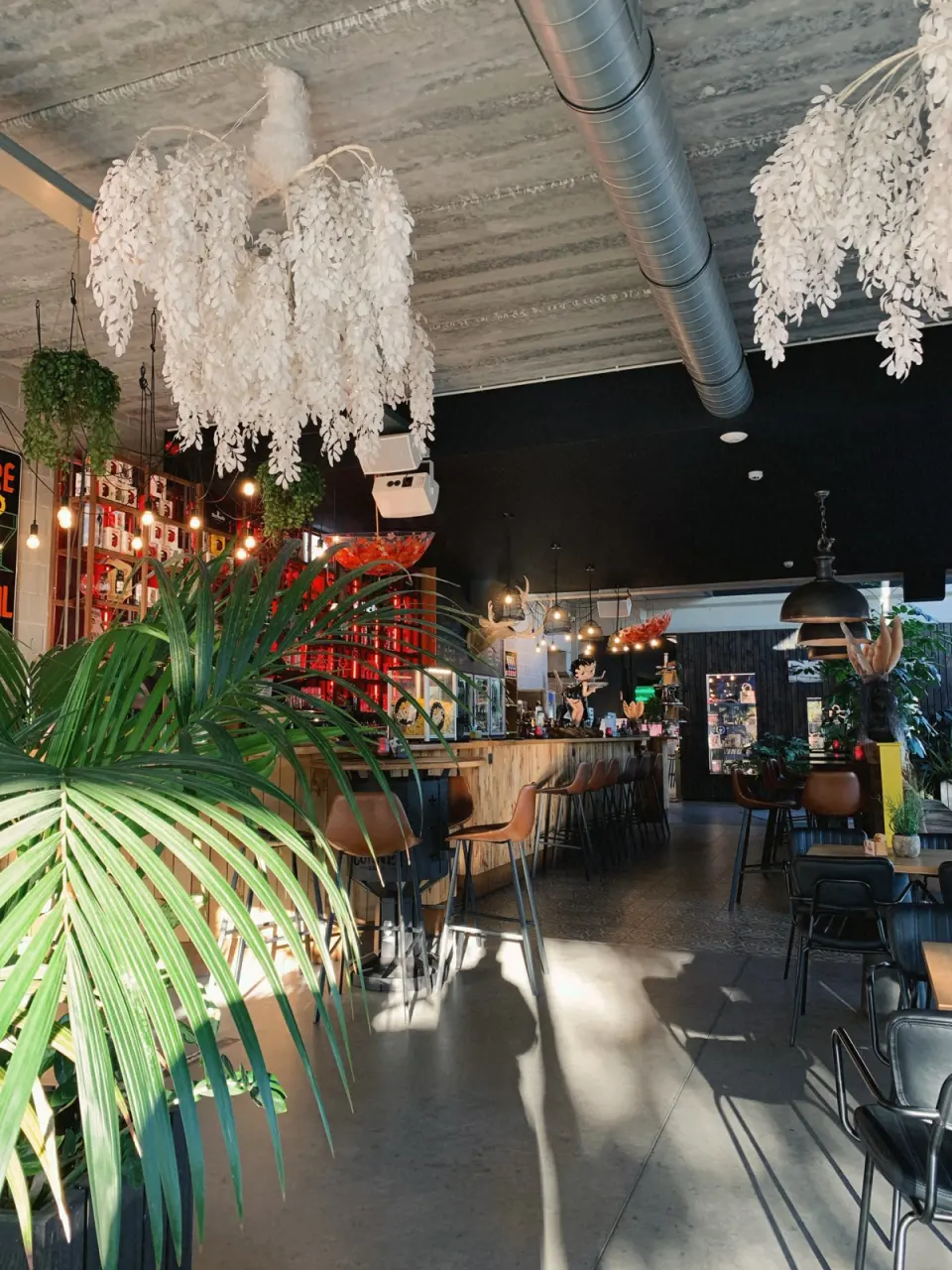 The sports centre's bar with high stools, hanging plants and sunlit tables