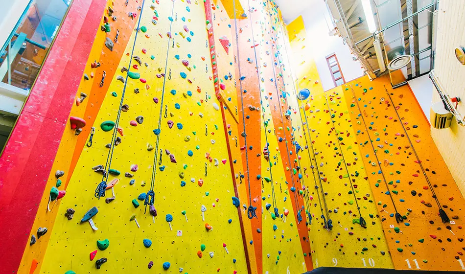 Yellow and orange 13m roped walls with numbered top-rope lines