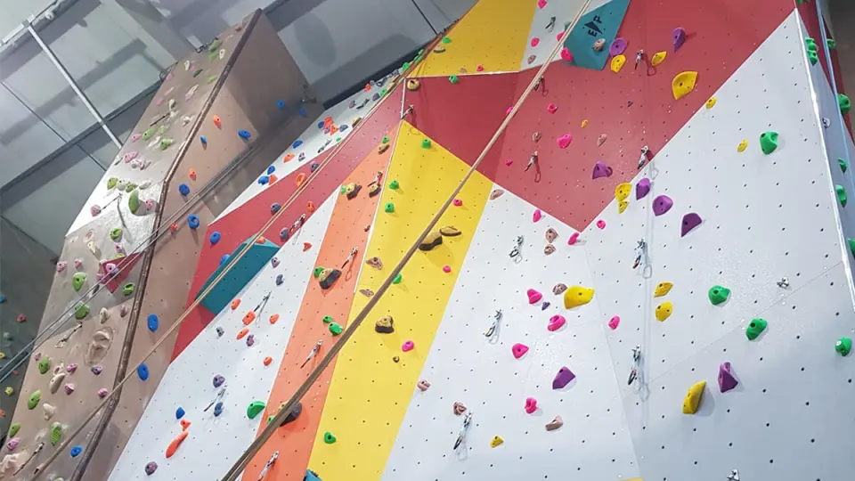 Colourful lead and top-rope walls with quickdraws in place