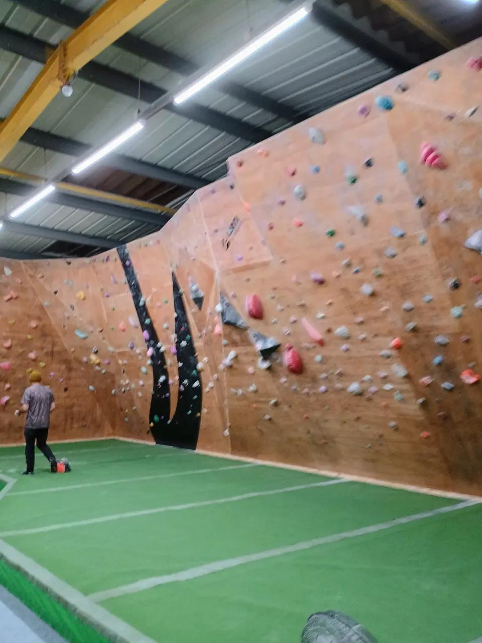 Long plywood bouldering wall above green matting