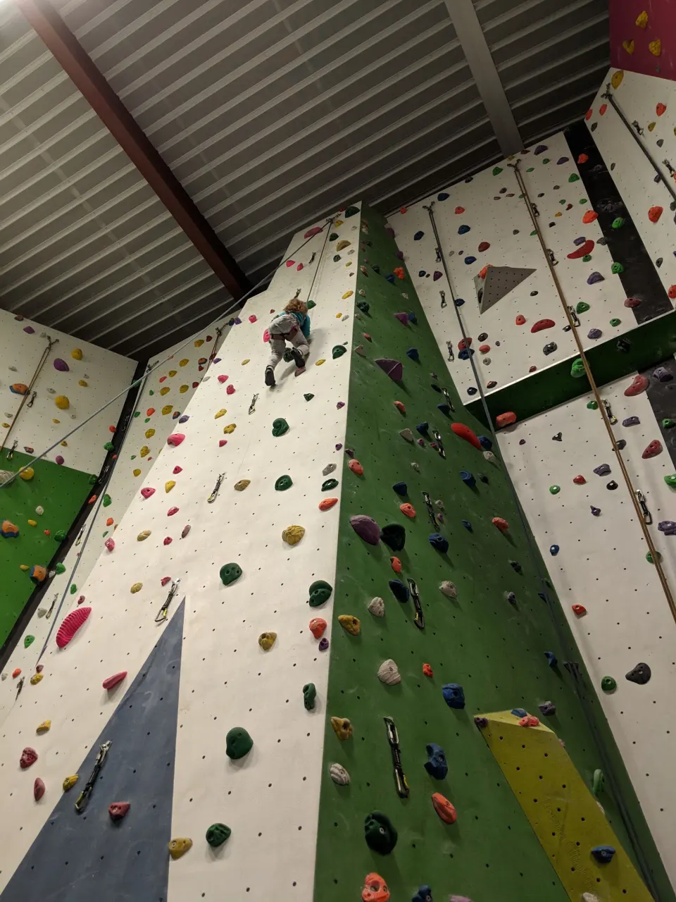 Looking up the tall roped walls under the hall roof