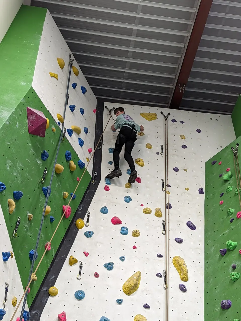 Climber on a top rope on the white and green roped wall