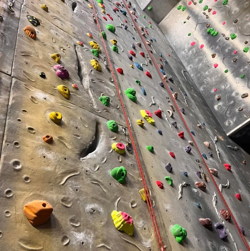 Looking up a freshly set grey wall with coloured holds