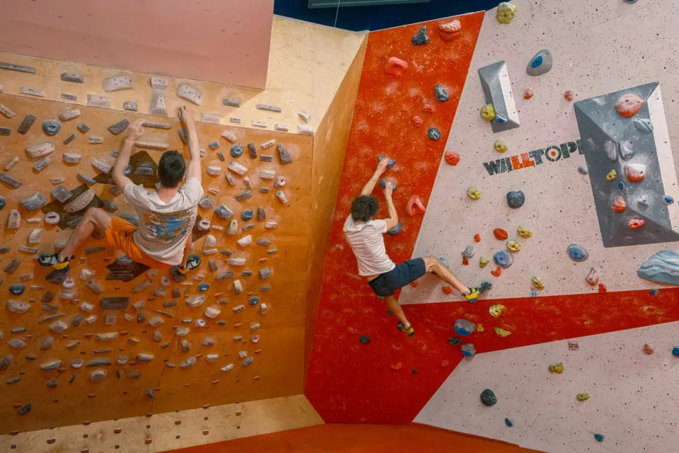Boulderers on an orange and white bouldering wall