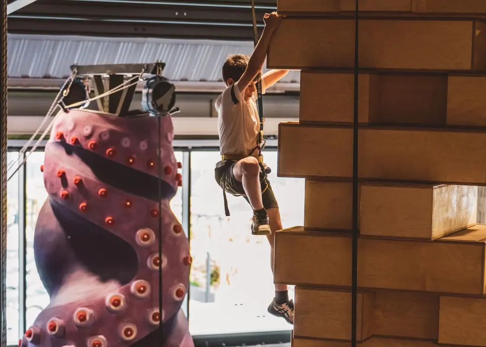 Climber between the Octopus and the Jenga tower