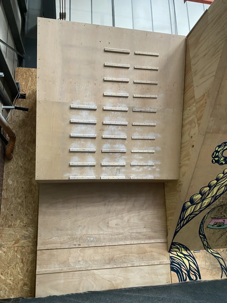 Campus rungs on a wooden training wall