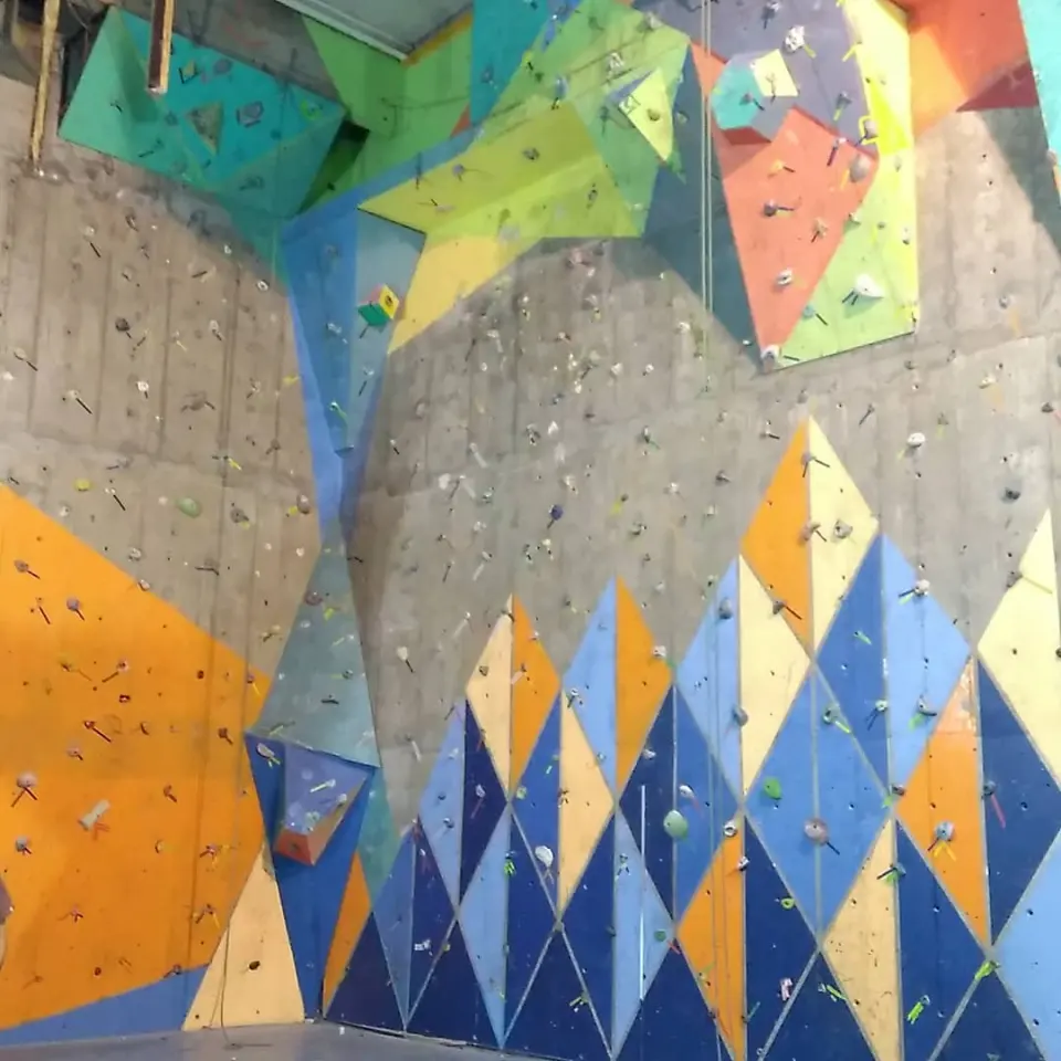Rama de Andinismo y Escalada UFRO
