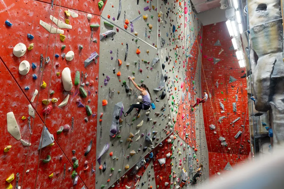 Tall red and grey roped walls with climbers part way up
