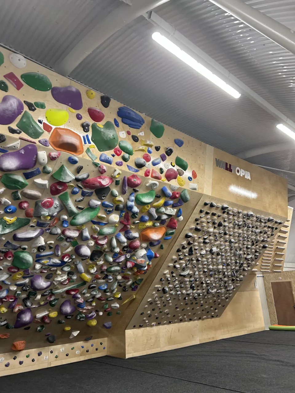 Densely packed holds on the spray wall