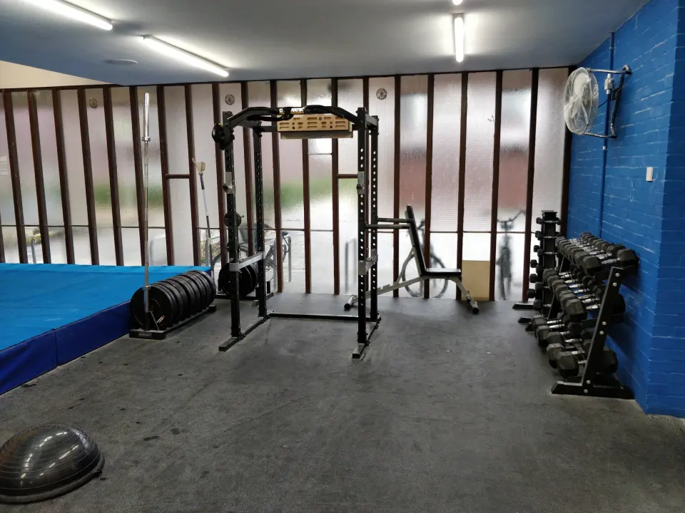Squat rack, dumbbells and plates in the gym area