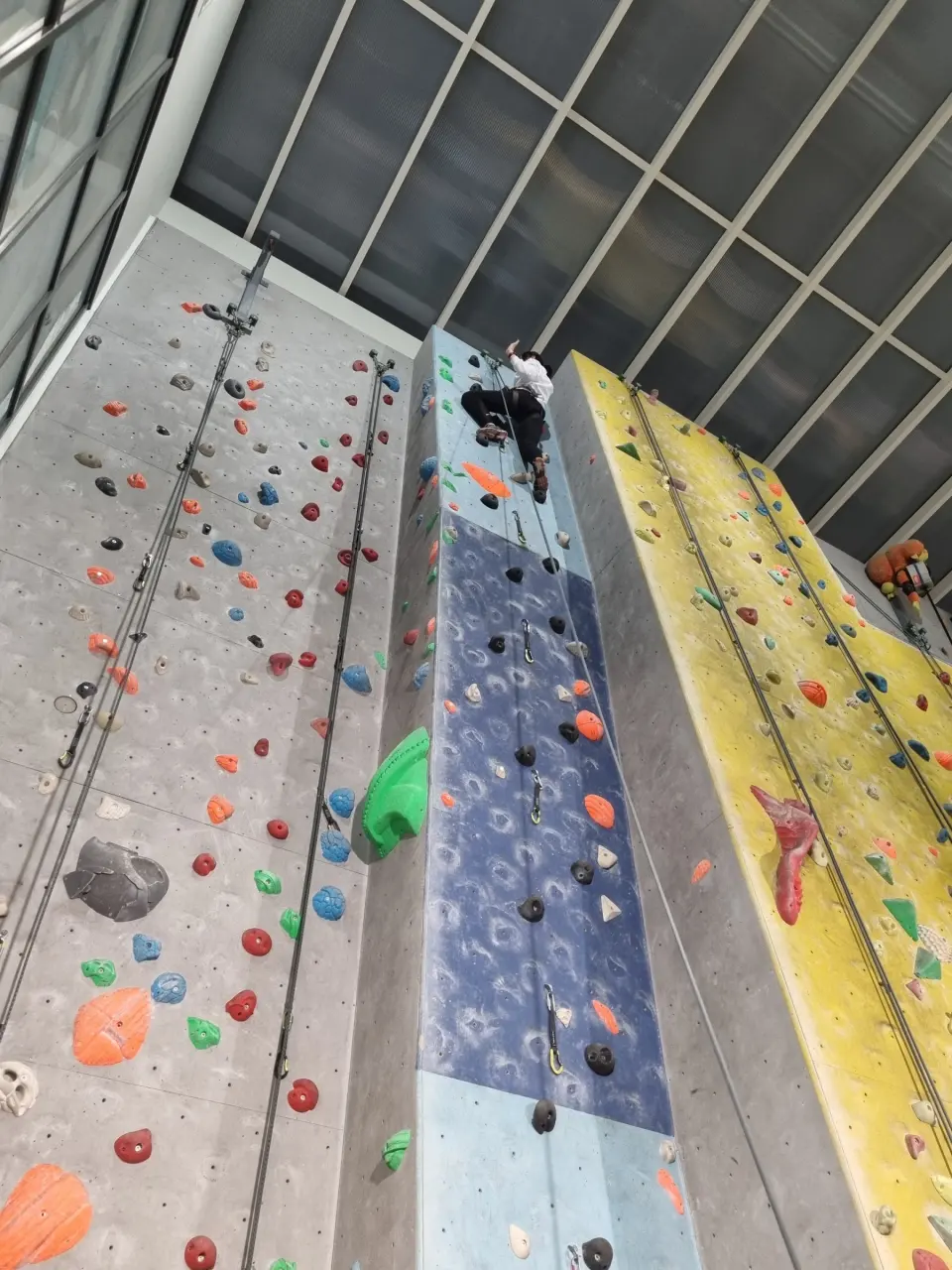 Climber high on the central roped wall