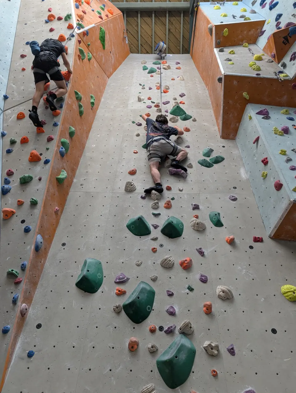 Looking up a long grey lead wall with quickdraws