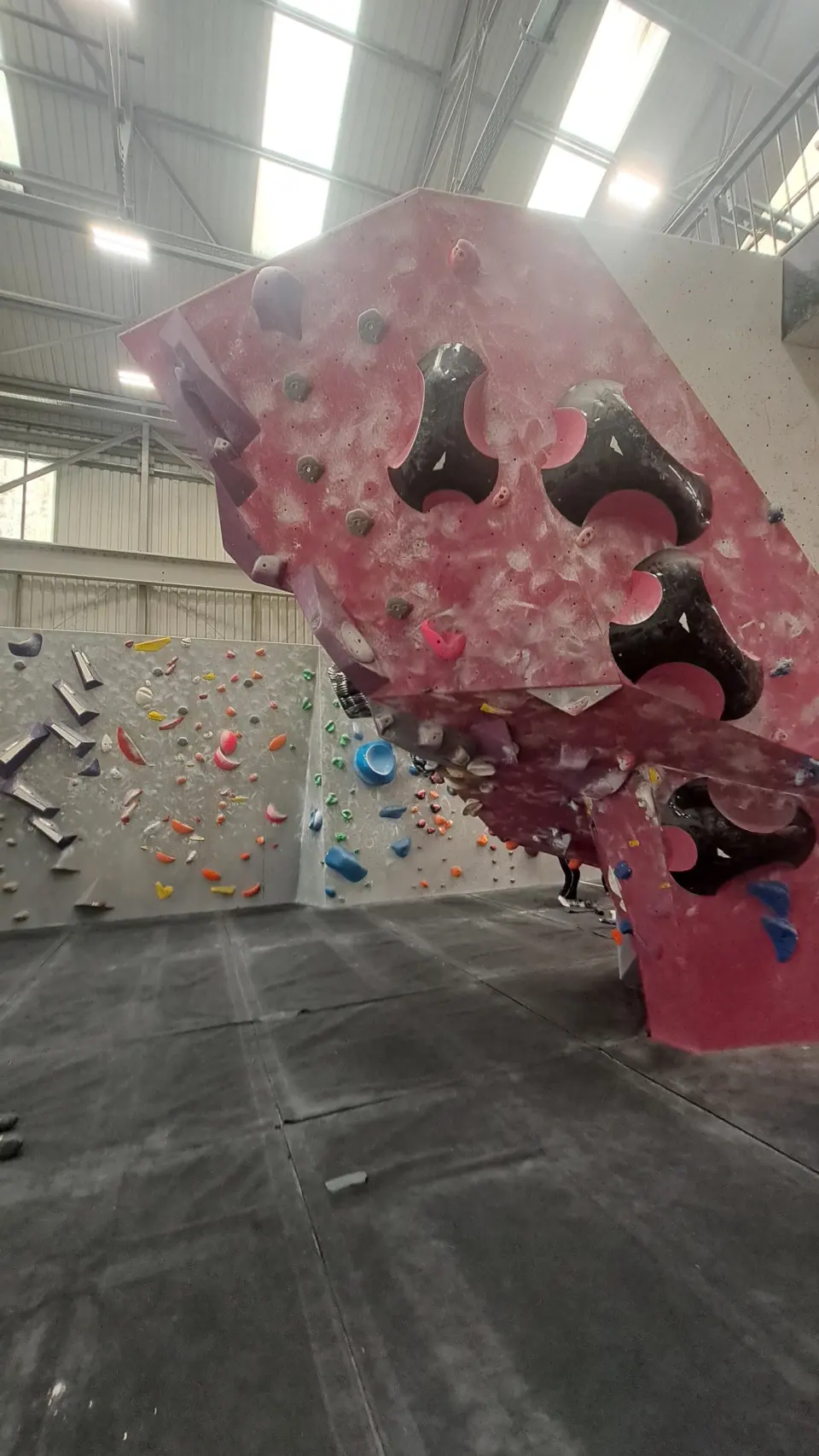 Pink boulder with big black holds