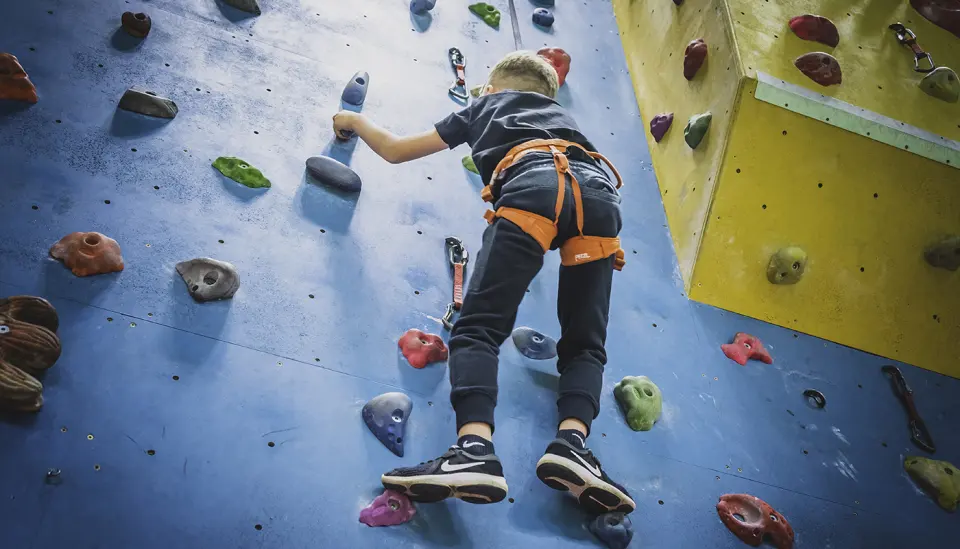 Young climber on the blue and yellow climbing wall