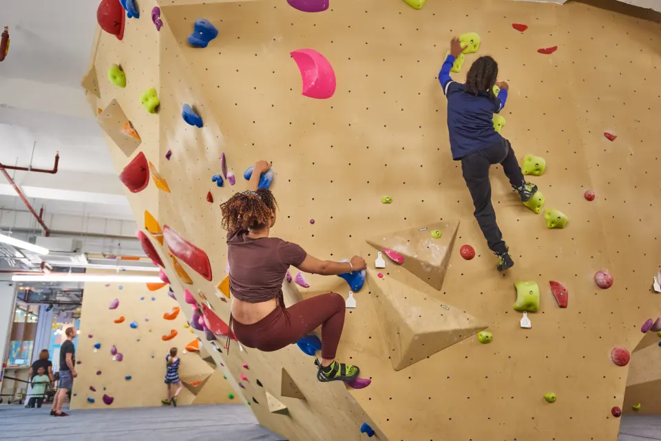 Climbers on an angled bouldering wall with pink and blue holds