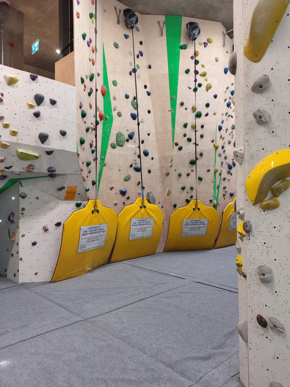 Auto-belay lanes with yellow auto-belay units