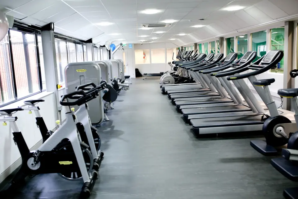 Rows of bikes and treadmills along the gym windows