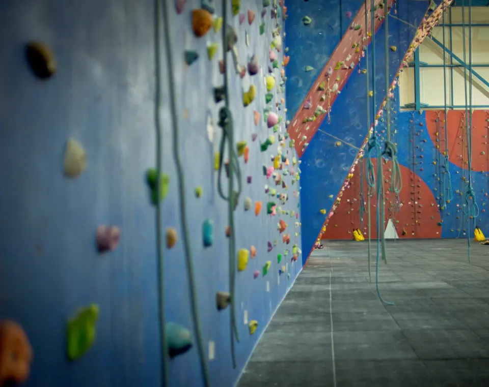 Ropes hanging down the tall blue and red walls at Sunderland Wall