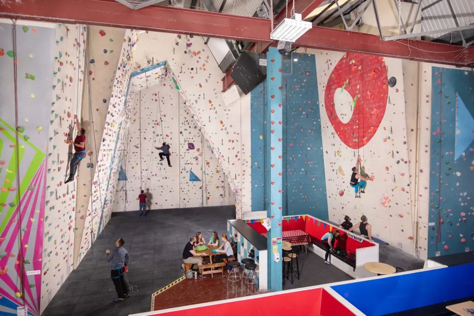 Roped climbing walls rising above the café seating