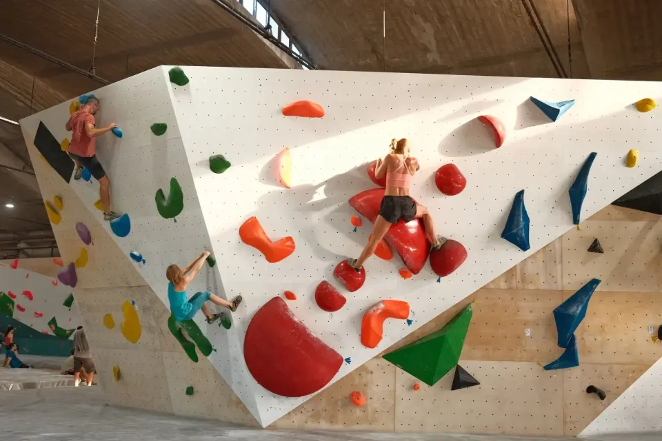 Angular bouldering panels beneath the timber roof at the Hive