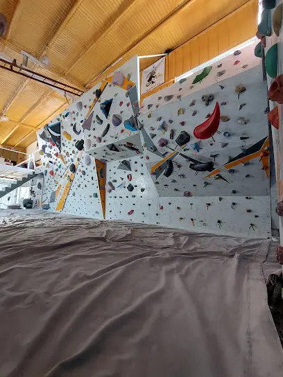Climbing walls at Agreste Sur