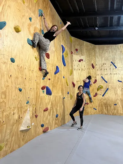Climbing walls at Proyect Escalada