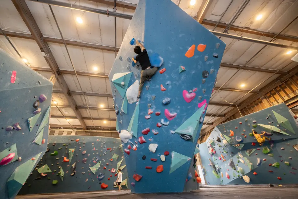 Climber on a tall blue boulder with volumes, more boulders and the wooden roof beams behind