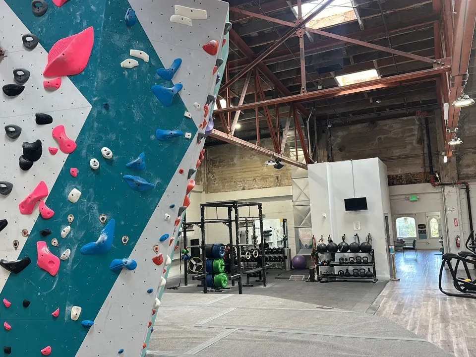 Teal bouldering wall beside the squat racks and weights of the fitness area