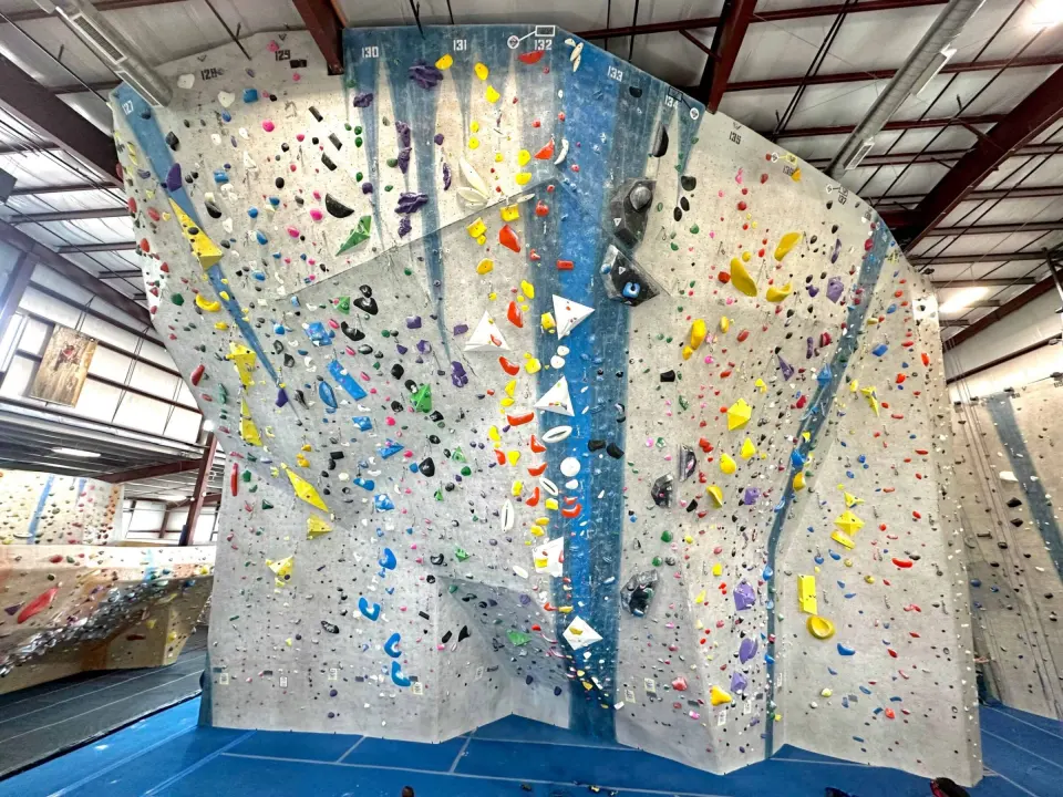 Tall roped walls with many coloured routes under a steel roof
