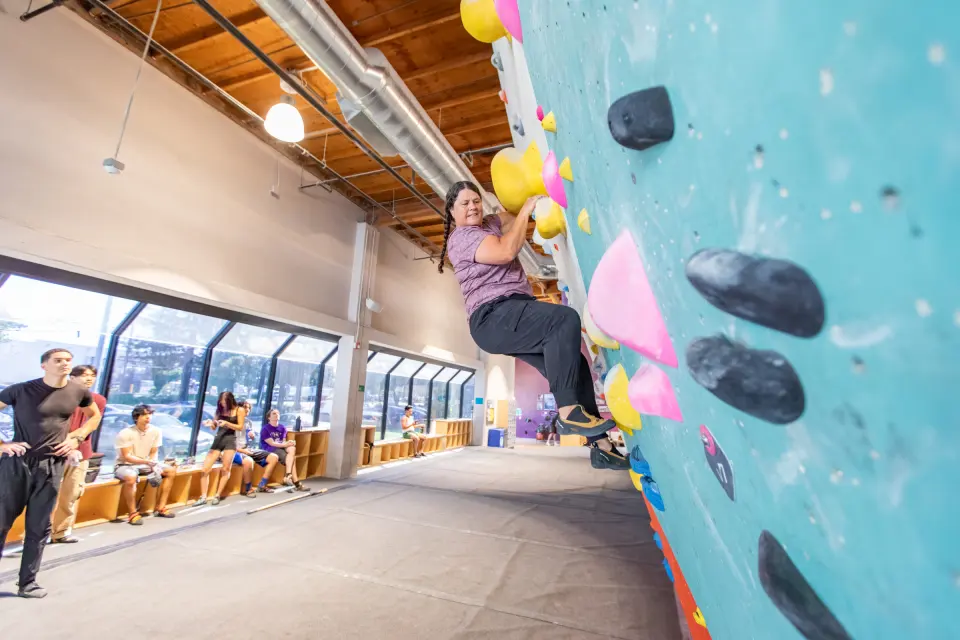 Climber on a teal wall beside the window benches