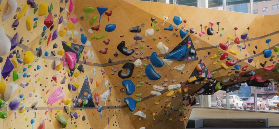 Plywood bouldering wall packed with colourful holds, with tall windows behind