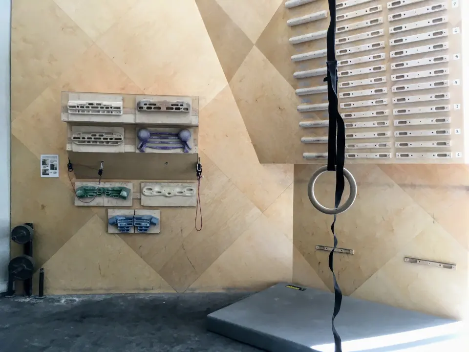 Training wall with hangboards, campus rungs and gymnastic rings