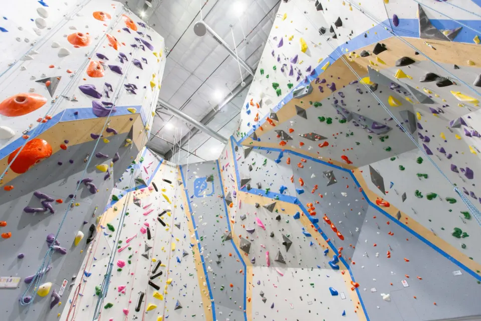 Tall lead and top-rope walls in the main hall