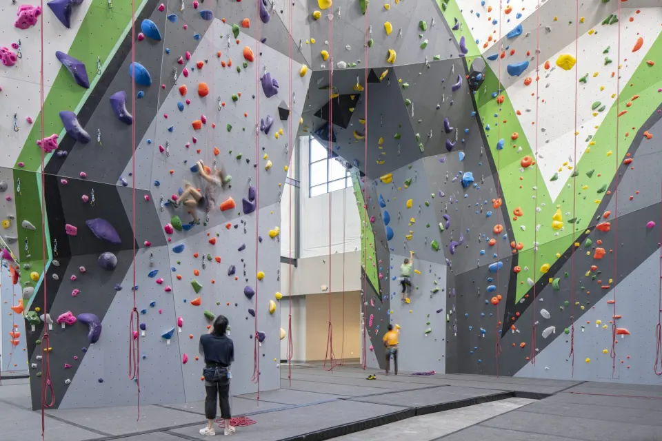 Tall grey, green and white top-rope and lead walls