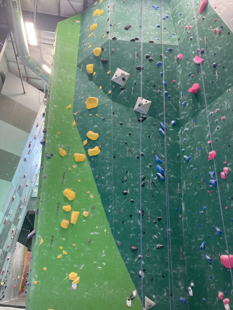Green roped wall with quickdraws and top-rope lines