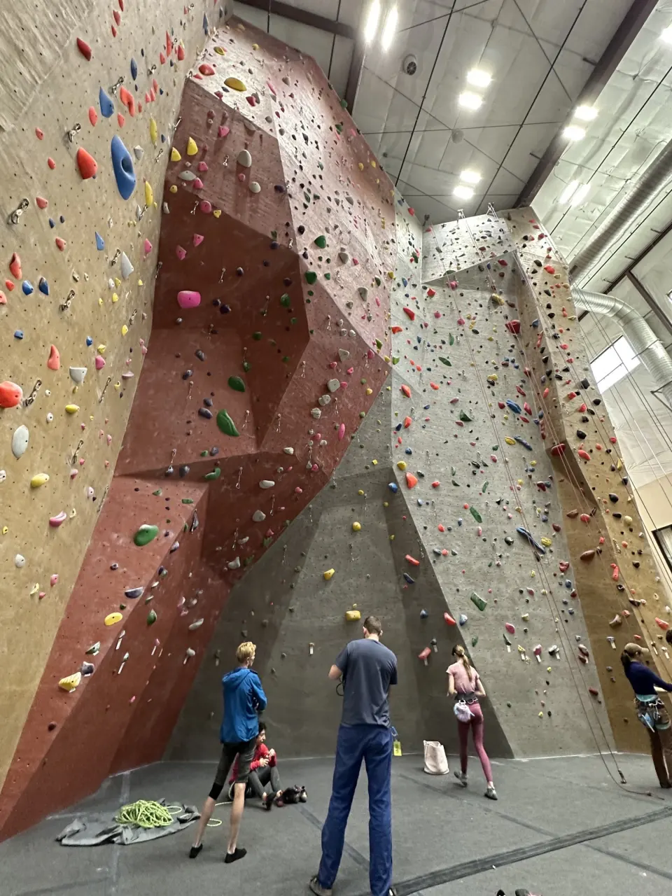 Climbers belaying at the foot of a tall roped wall