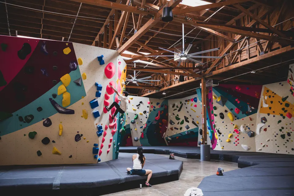 Rows of painted bouldering walls under the timber roof