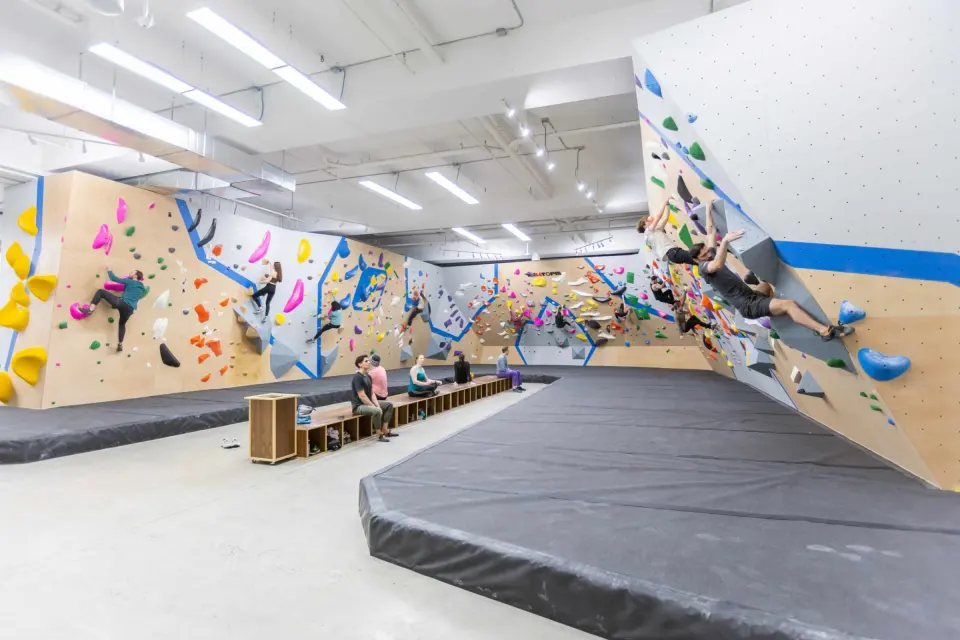 Long bouldering hall with wooden and white walls edged in blue above grey matting