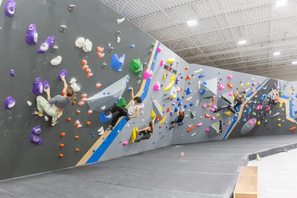 Long grey bouldering wall with blue and gold stripes and climbers on several problems