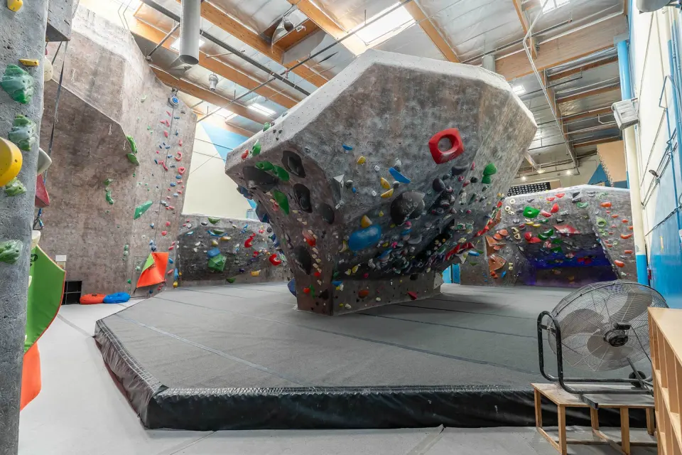 Freestanding boulder on a padded island