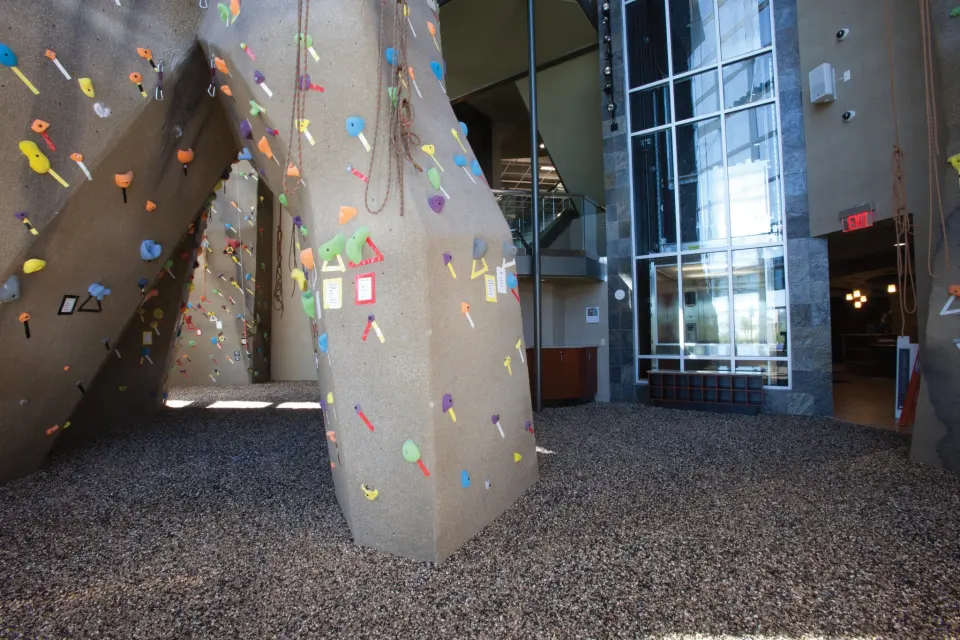 Sculpted rock wall with top ropes and a walk-through arch above a rubber-chip floor