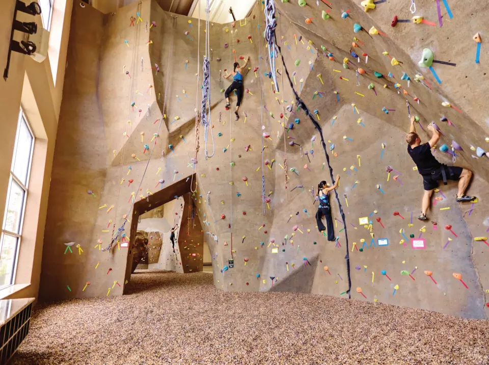 Climbers on top ropes on the sculpted rock wall, with a walk-through arch and tall windows