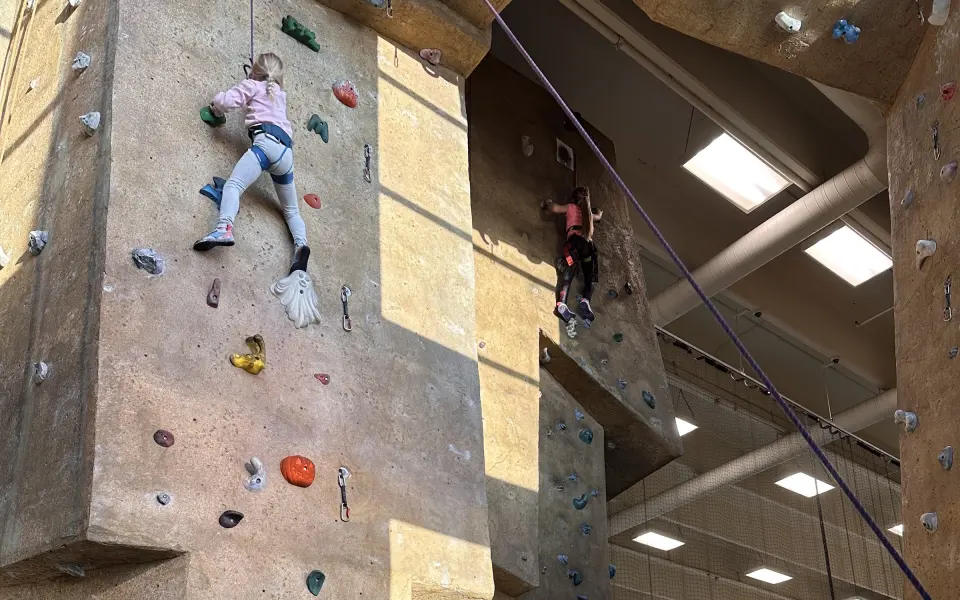 Young climbers on top ropes on the sculpted rock wall