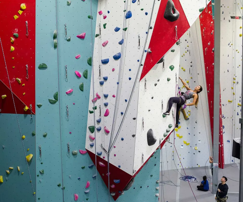 Climber on the teal, white and red roped walls