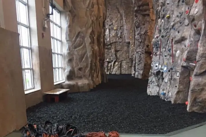 Tall sculpted climbing walls beside high windows above a rubber-mulch floor