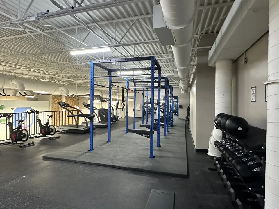 Fitness area with a blue rig, dumbbells and cardio machines