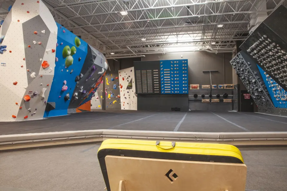Training area with a campus board and steep boards beside the boulders