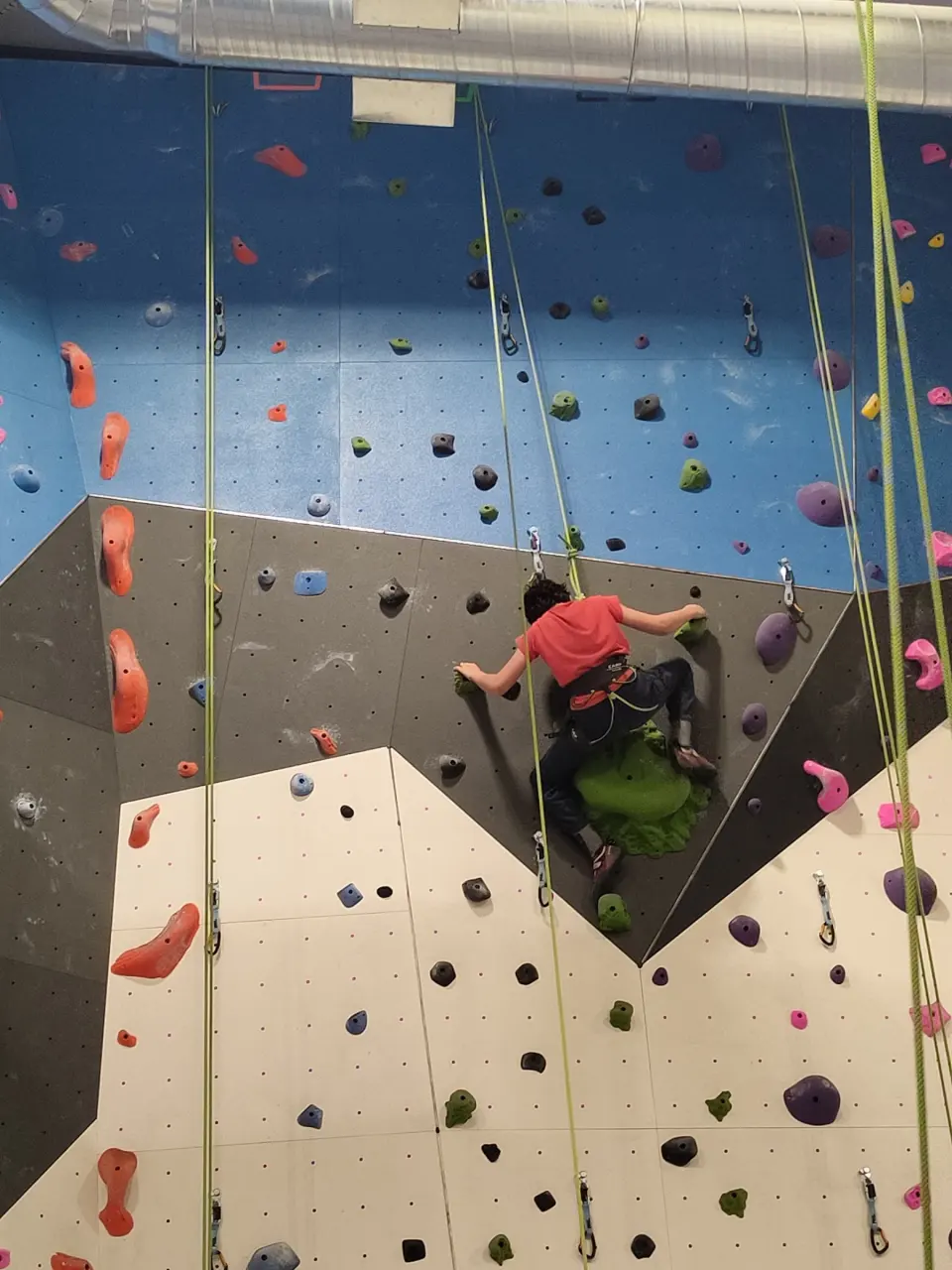 Top-rope climber on a grey and blue section of wall